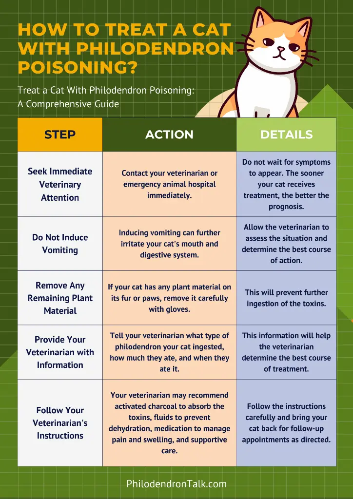 chart showing ways to Treat a Cat With Philodendron Poisoning